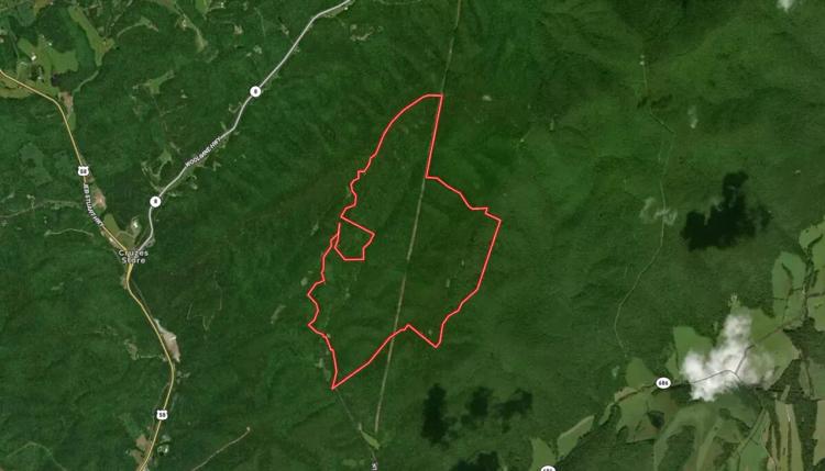 +/-585 Acres of Recreational, Residential, & Investment Mountain Land For Sale in Patrick County, VA!