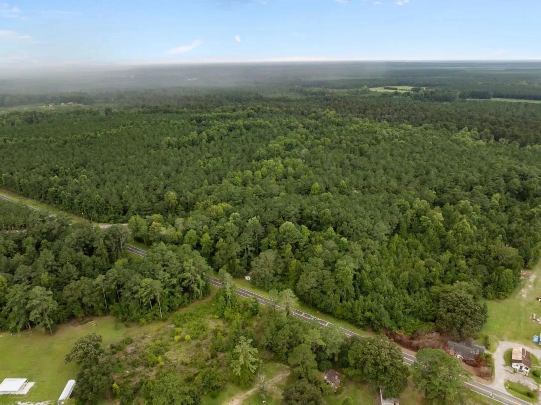 153-Acre Timberland for Sale in Edward, NC