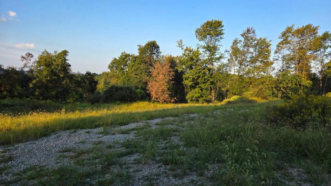 149 Wooded Acres in Fayette County Pennsylvania