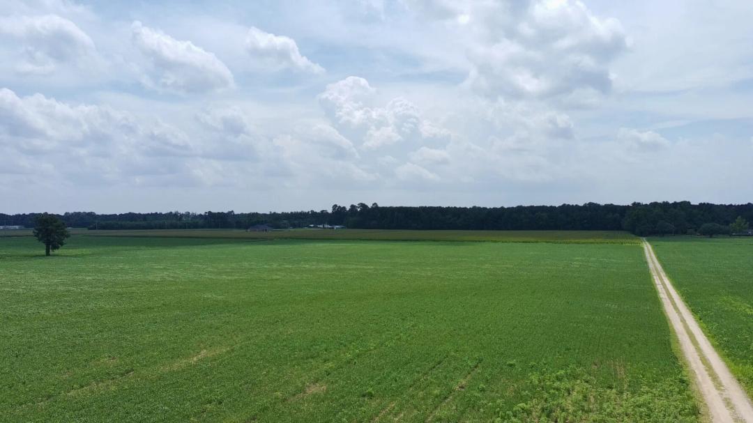 28.01 Acres at 189 0 Pear Tree Lane
