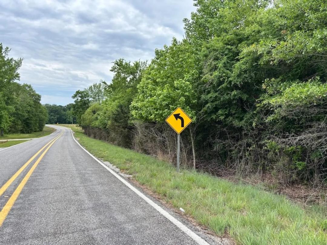 Estate Tract Near Camden on Highway 17 - Tract 4