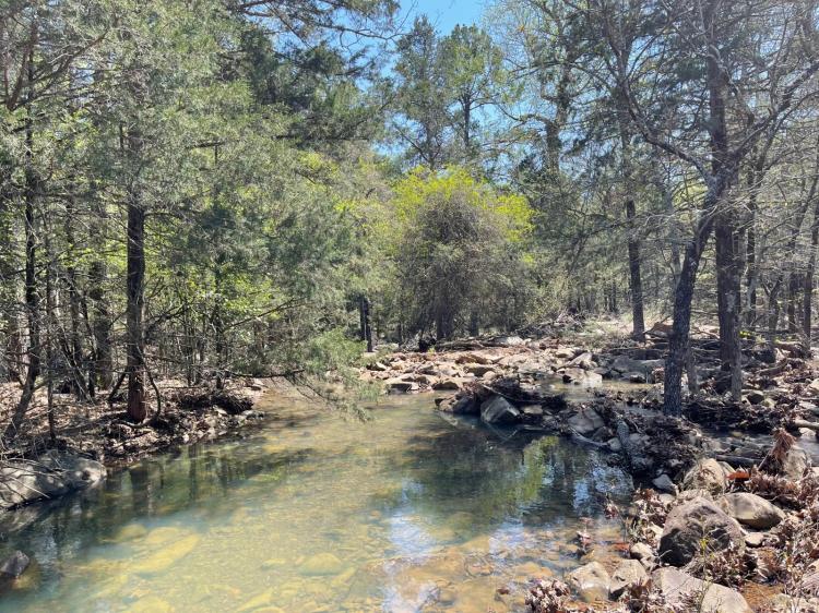 2.37 Acres at 236 Wolf Trail