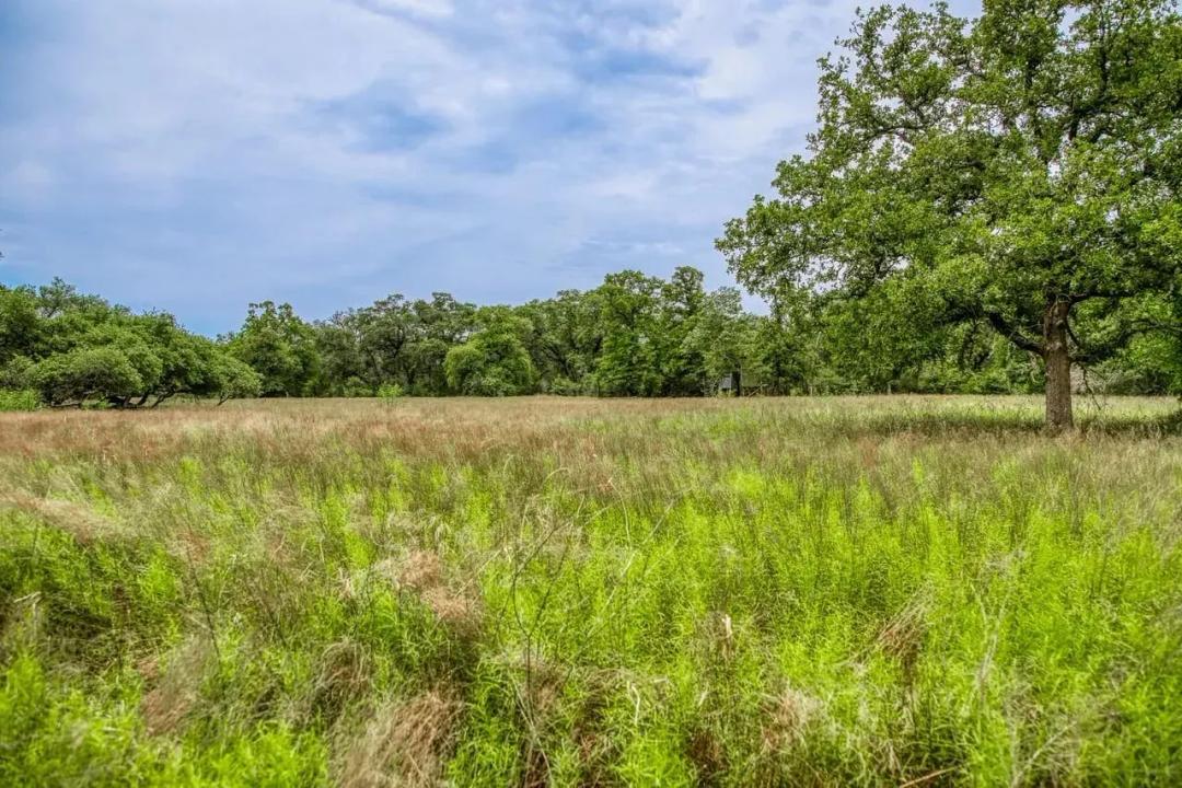 Collins Ranch