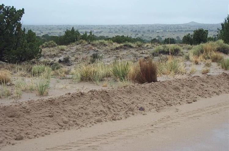 Large parcel almost 2 acres - Rio Ranchos New Mexico - NW of Albuquerque