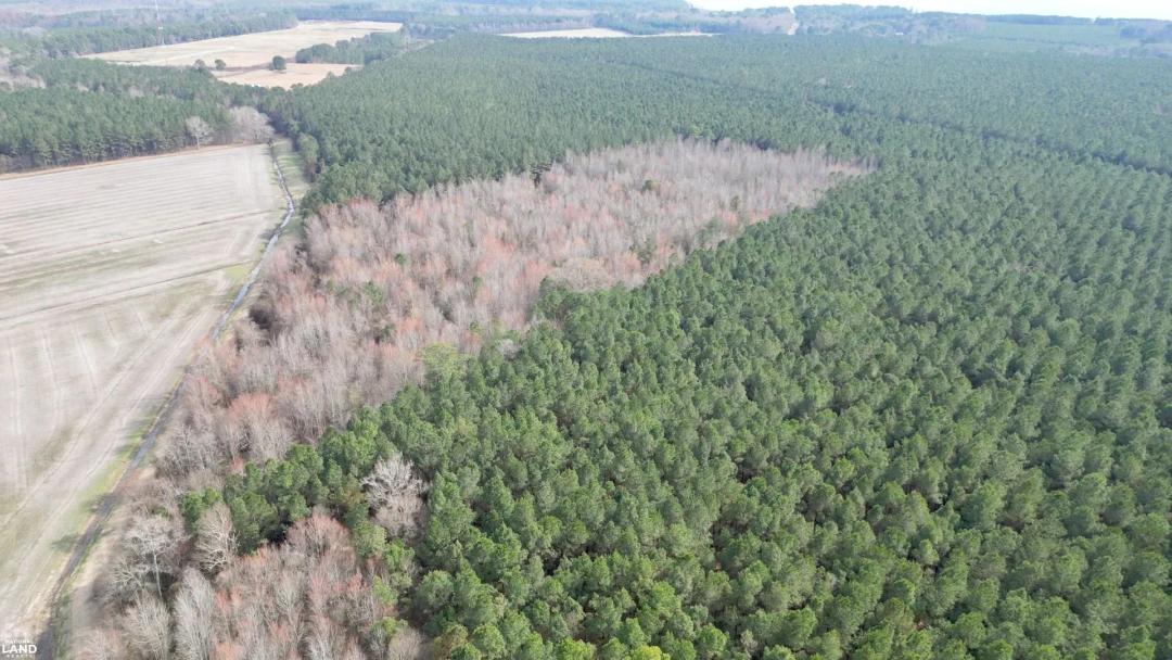 Bath Hunting & Timber Tract