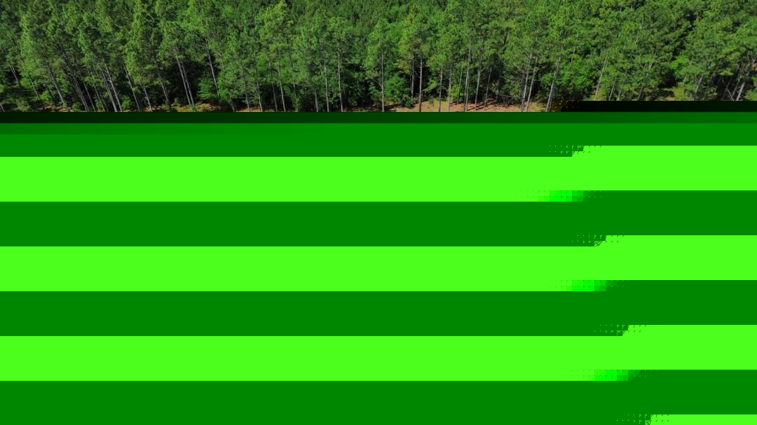 0.97 Acres at 0 Wilbur Pridgen Rd