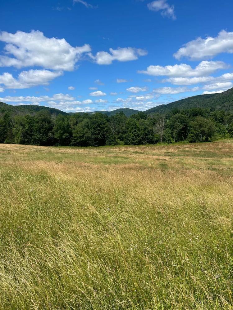 Tioga County, Crance Brook Rd