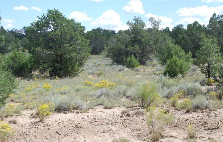 Rolling Hills Near mountains and Government lands Western New Mexico