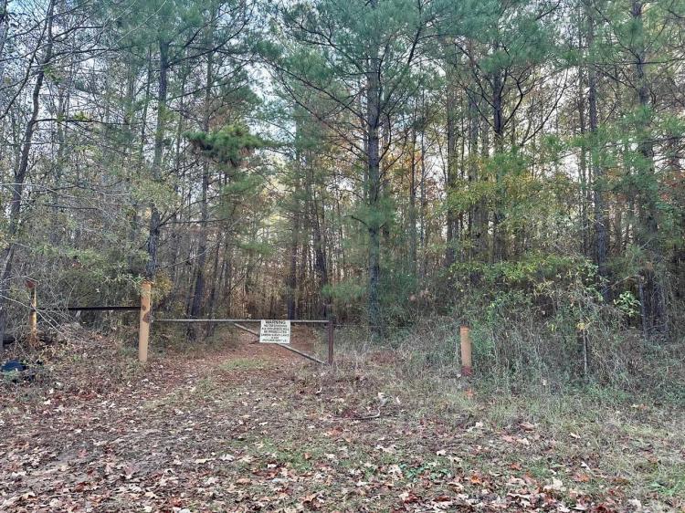 200+/- Acres Hunting and TImberland for sale in Clarks, LA