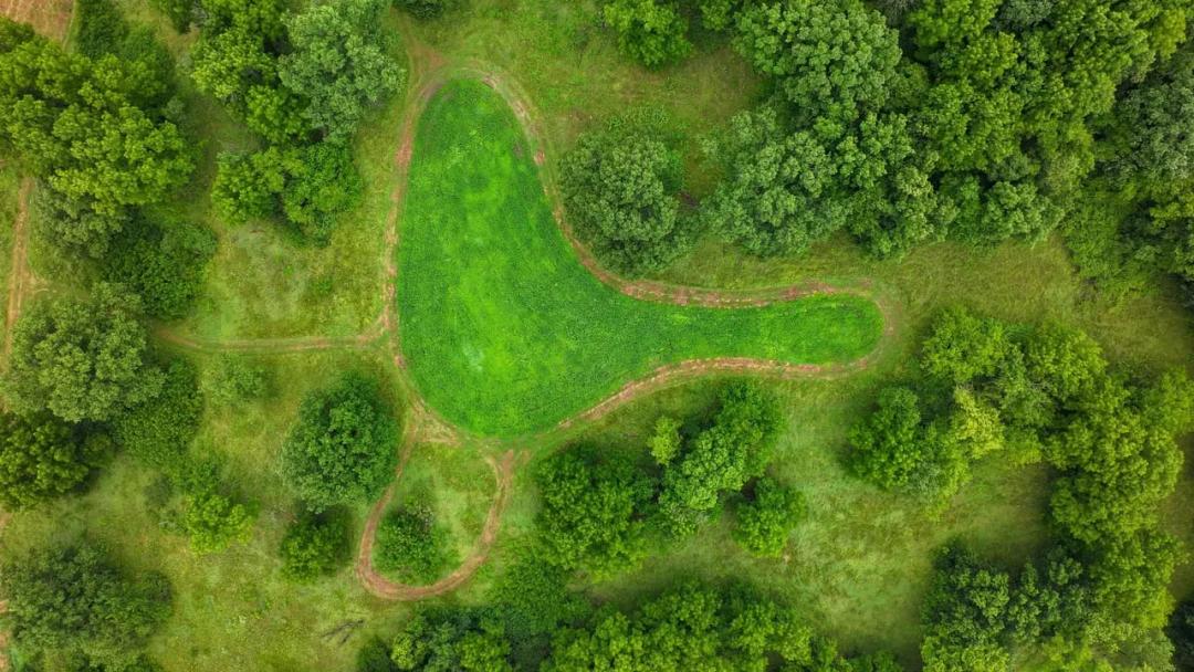 Listing #19471 - 75.00 acres in Grant County, WI