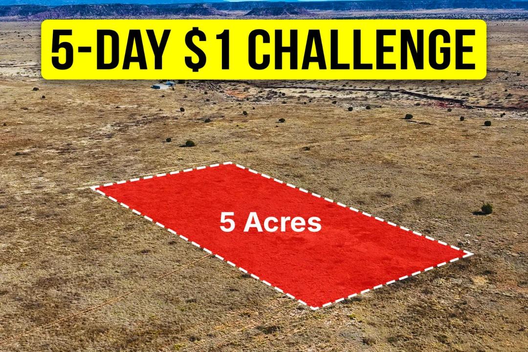 5-Acre Parcel in New Mexico - No HOA, Panoramic Views