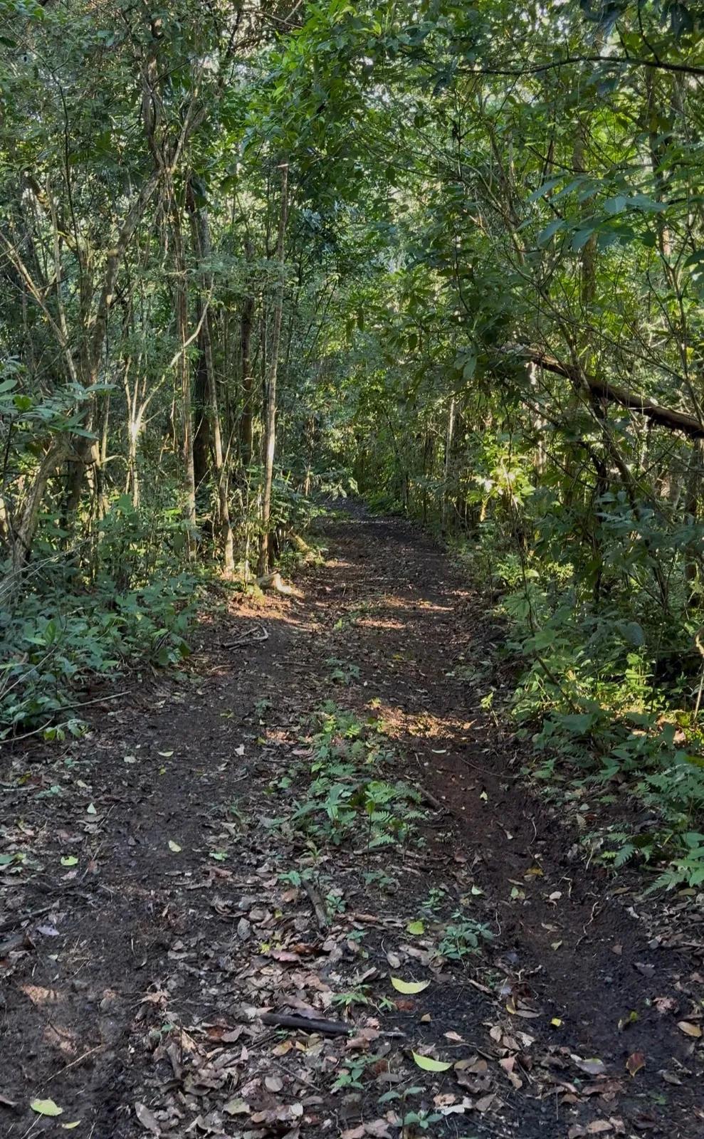 Development Opportunity - 6.10 acres | Bo. Sonadora, Guaynabo,