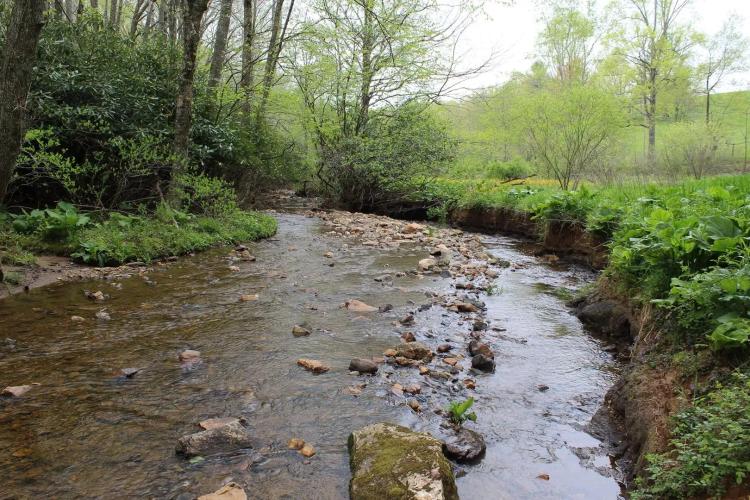 70 Acres in Carroll County, Virginia