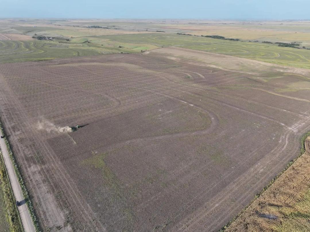 Online Land Auction | 315.8+/- Acres in Norton County, KS