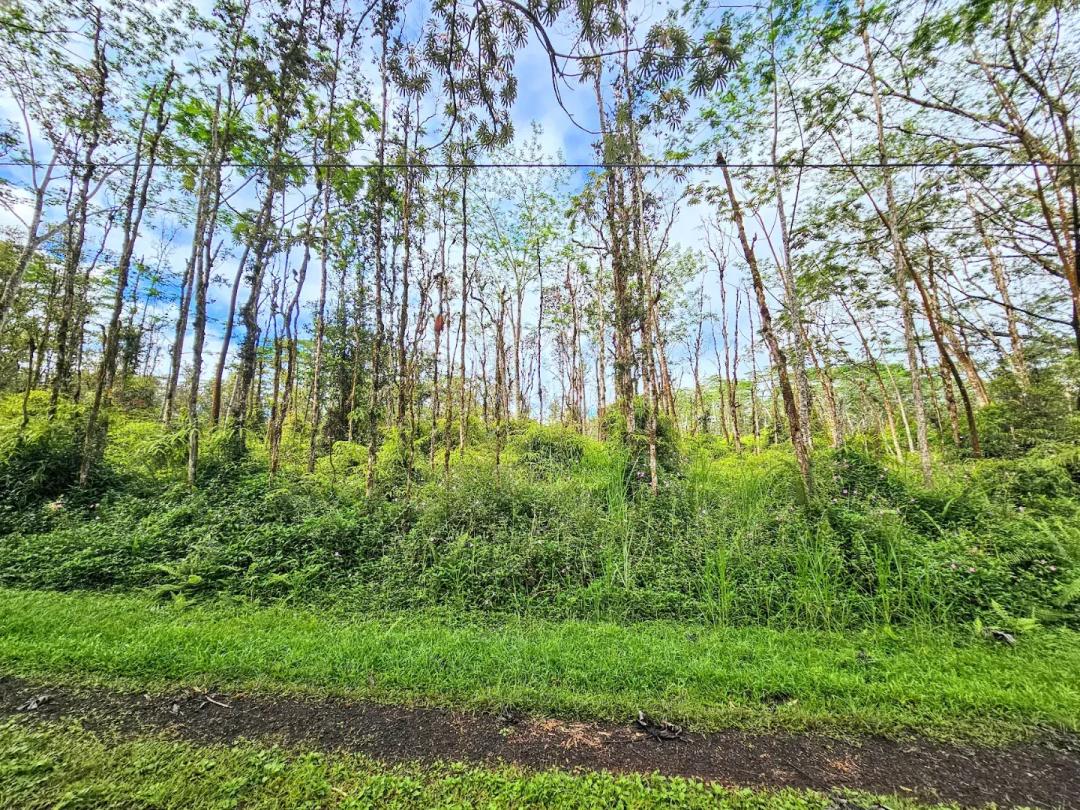 #L40198-1 Beautiful Lot in Nanawale Estates, Hawaii $19,499.00