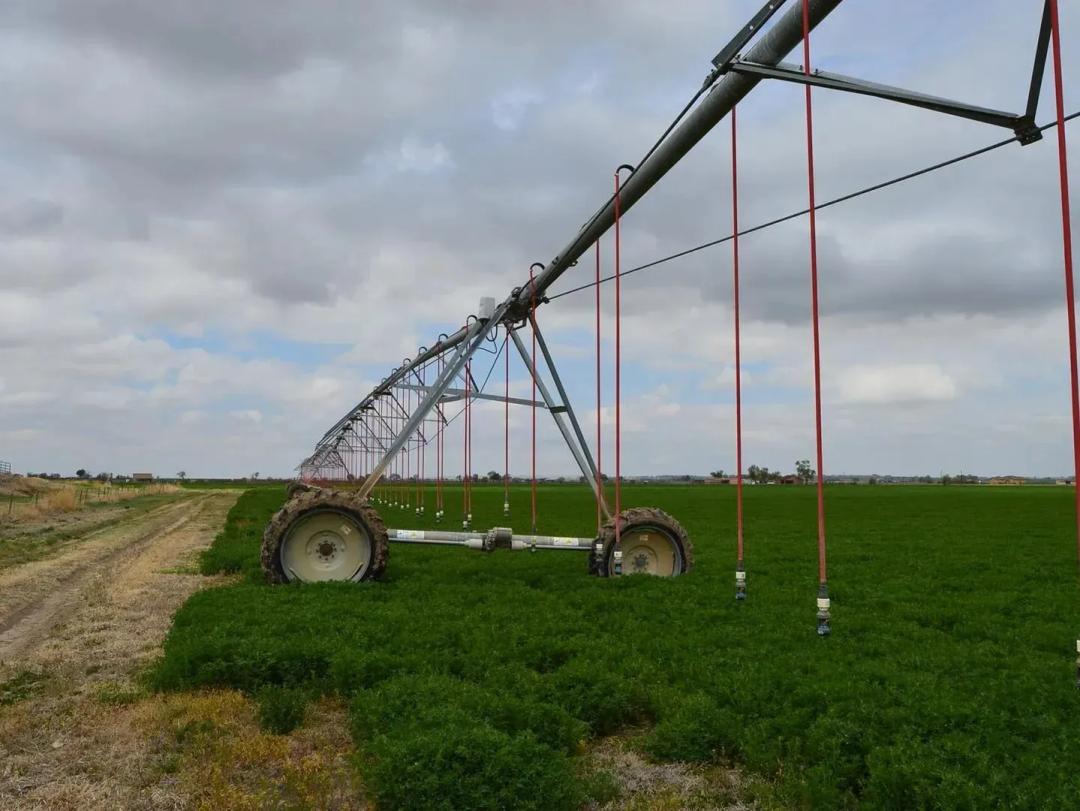 Otero County Irrigated Farm