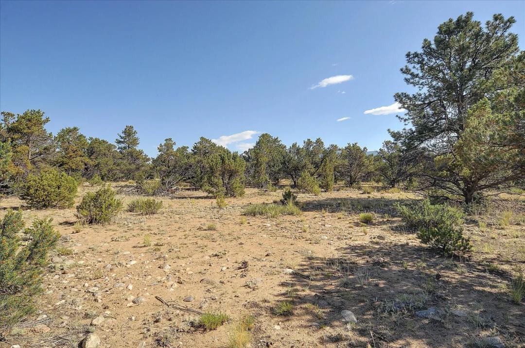 29266 Timber Ridge