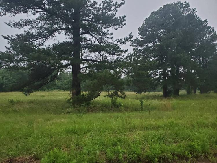 4.77 ACRE HOMESITE IN HUGO OKLAHOMA FOR SALE!!