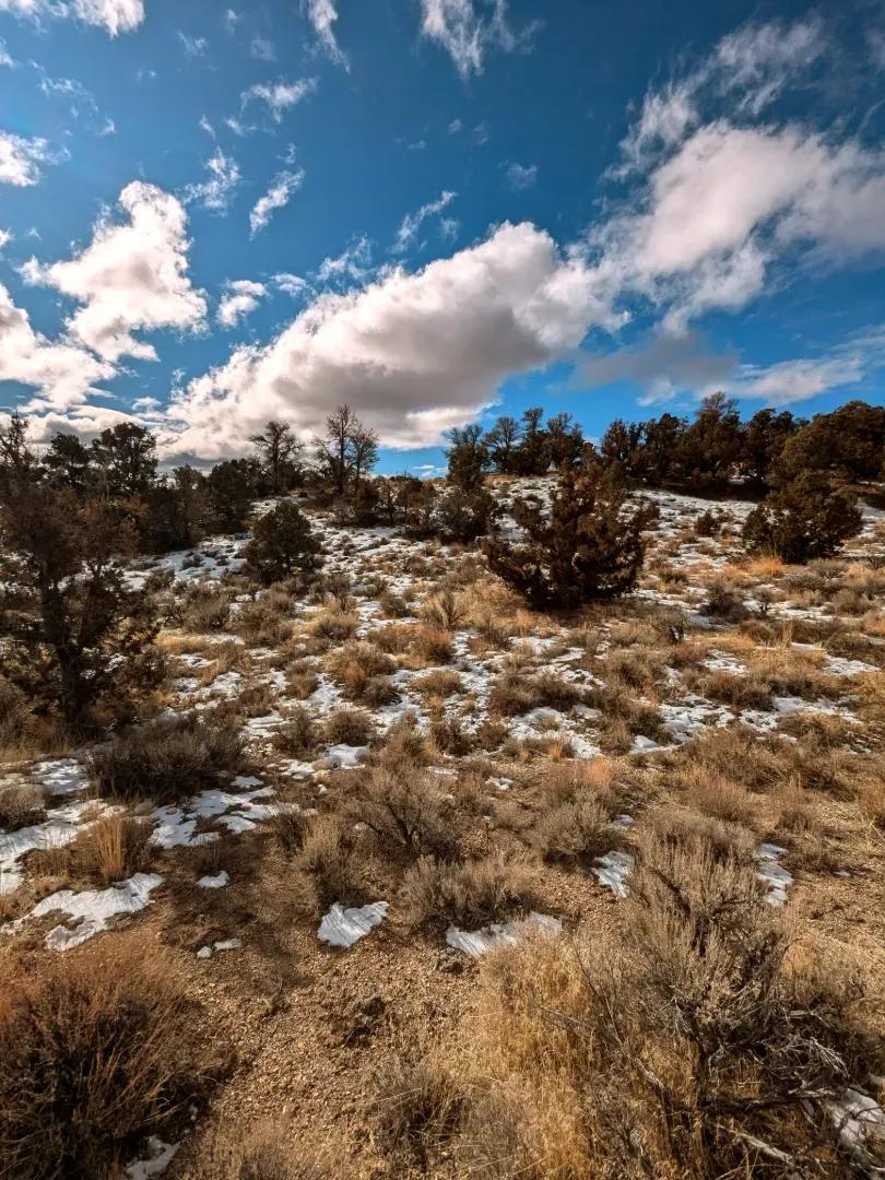 Don't Bother Me - I'm Going Off Grid! Own this 10 Acres and Get Away!