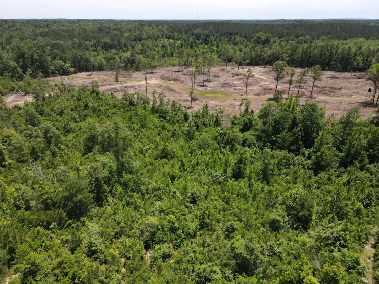 96 Acres in Jasper County, MS 
