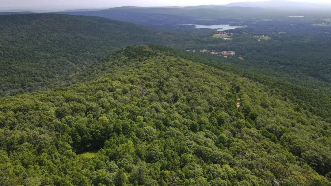 Buffalo Mountain 80