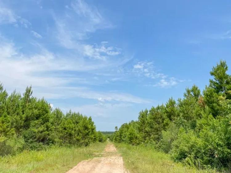 388 Acres | T-12 | Red Hollow