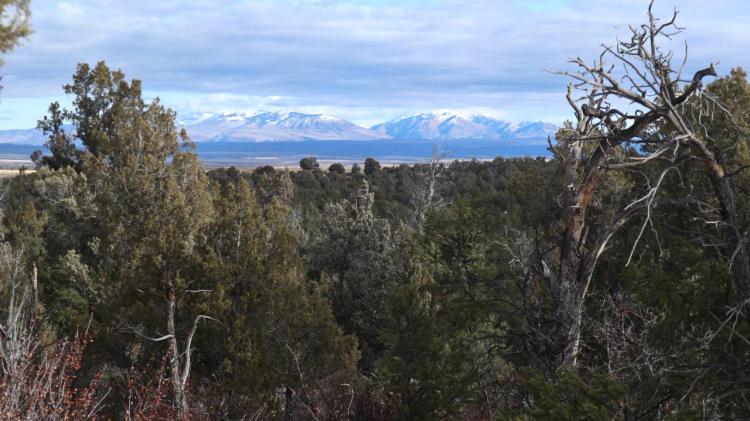 Remote SW Colorado land - Borders BLM lands - CR 109 Frontage
