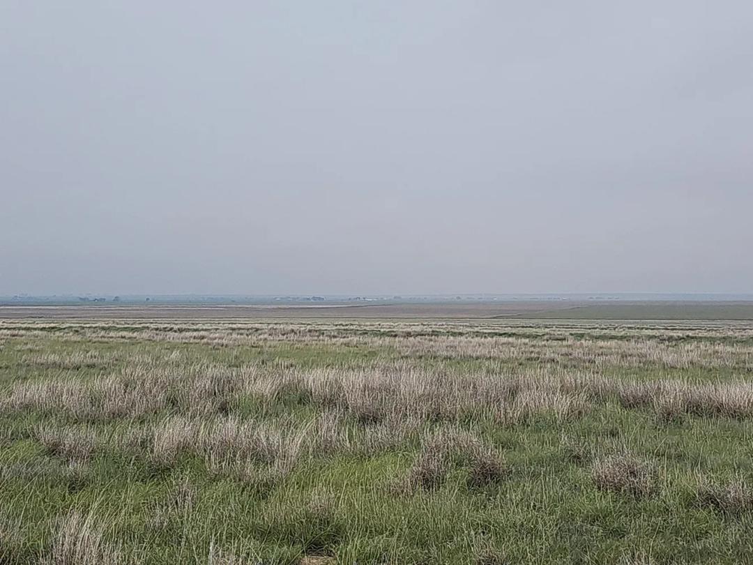No 159.57 Acres of CRP For Sale
