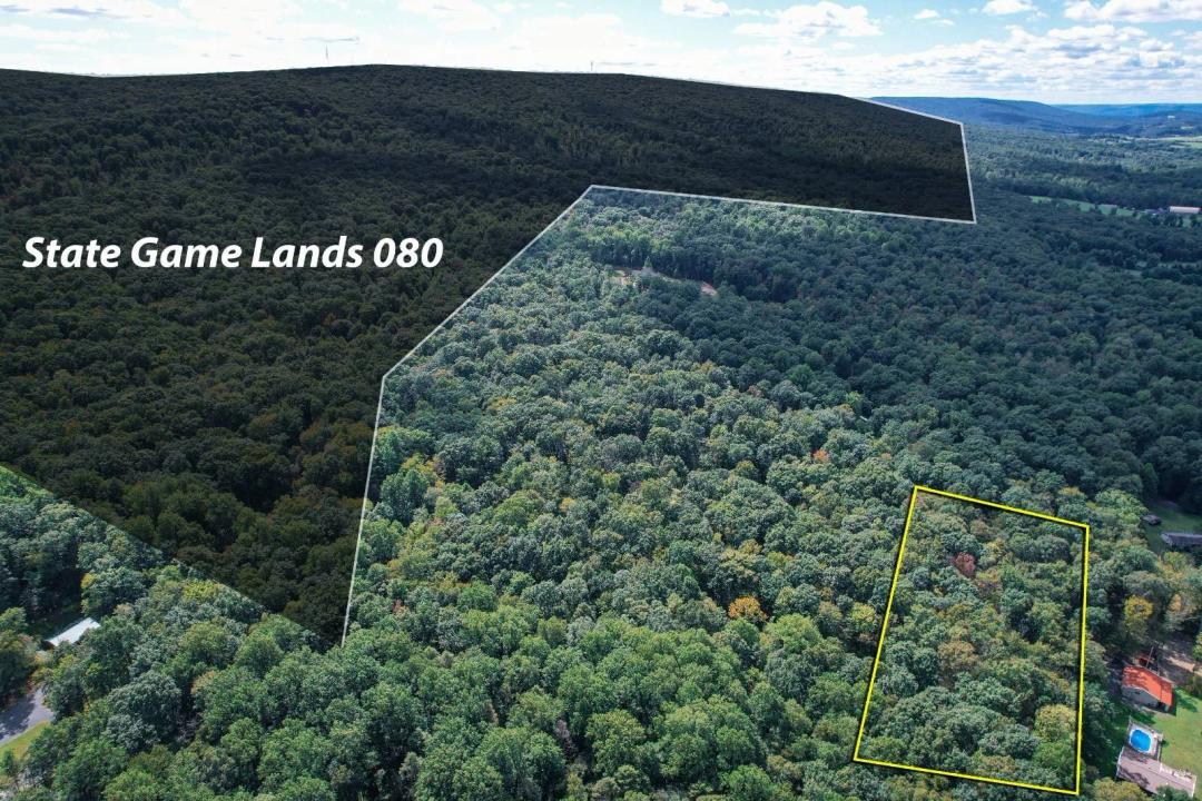 Lot 3 on Trophy Drive: Wooded Building Lot Near State Game Lands