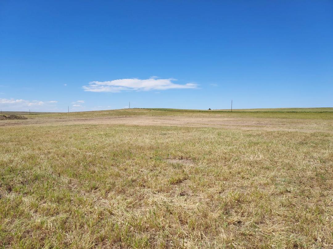 Stateline Valley View
