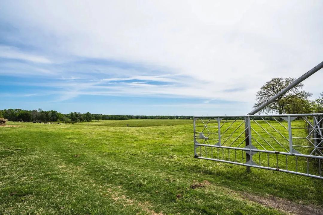 Steele Creek Cattle Ranch- 108 AC in Robertson County