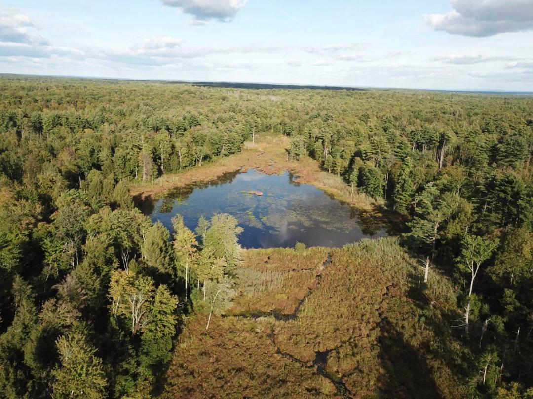 20 Acres of Recreational Land Near Sylvan Beach!