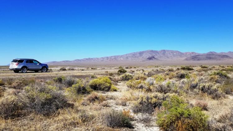 Star filled Night skies - Remote Nevada land - Wide open spaces