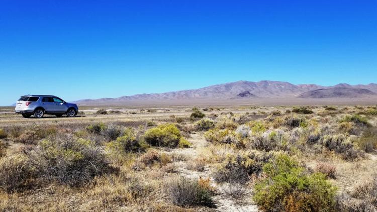 Star filled Night skies * Remote Nevada land * Wide open spaces