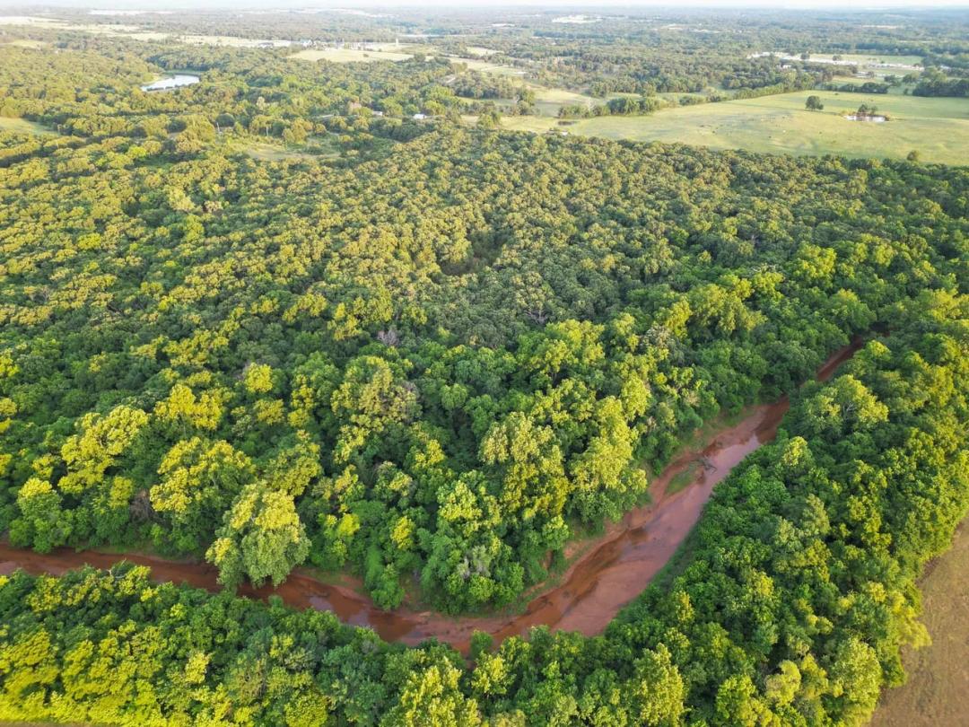 22± acres Live creek, pond, timber, and blacktop