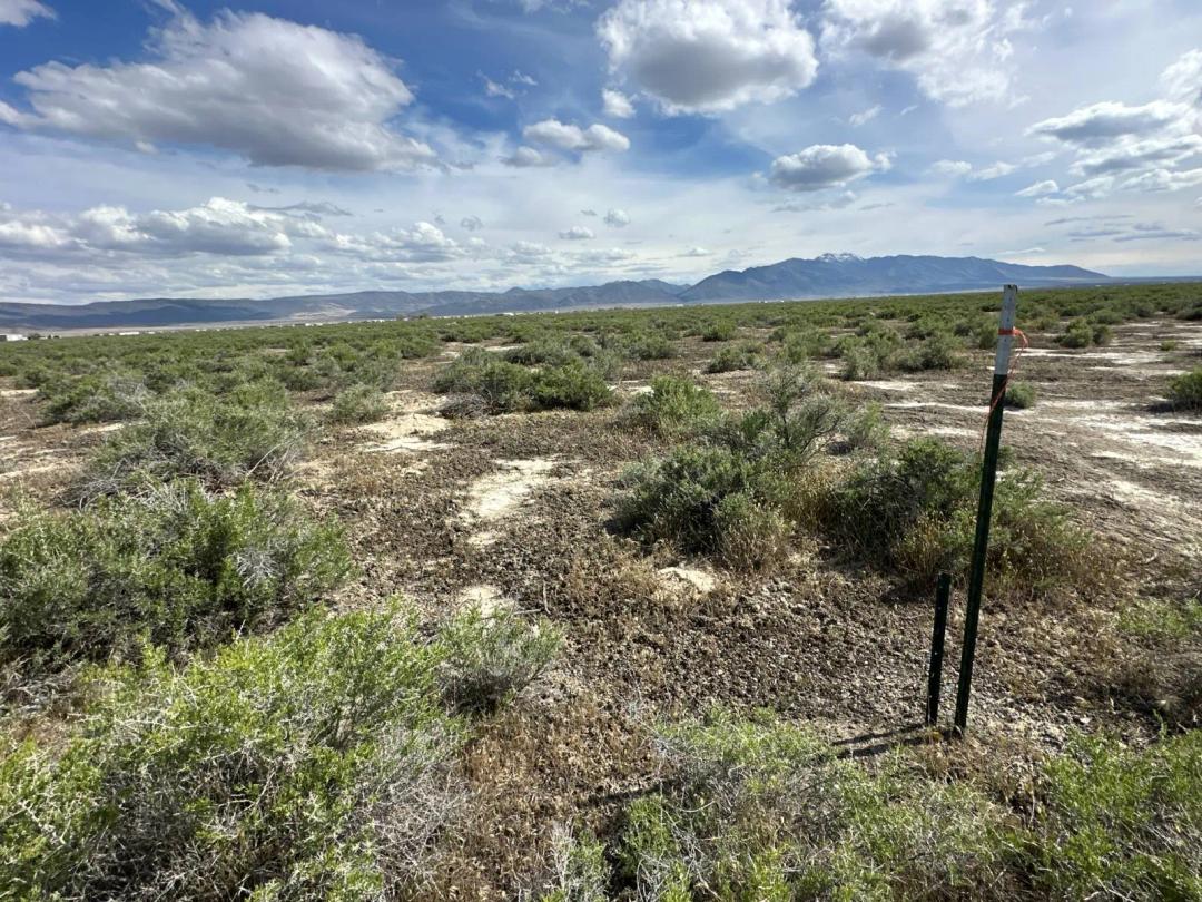 Nevada Residential Horse Acreage Recreational Land Lander County