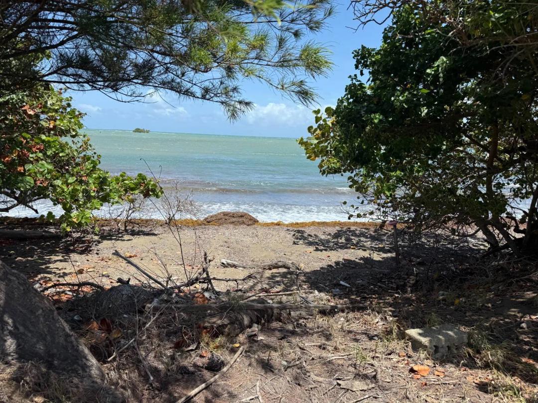 154 Bahía Jauca