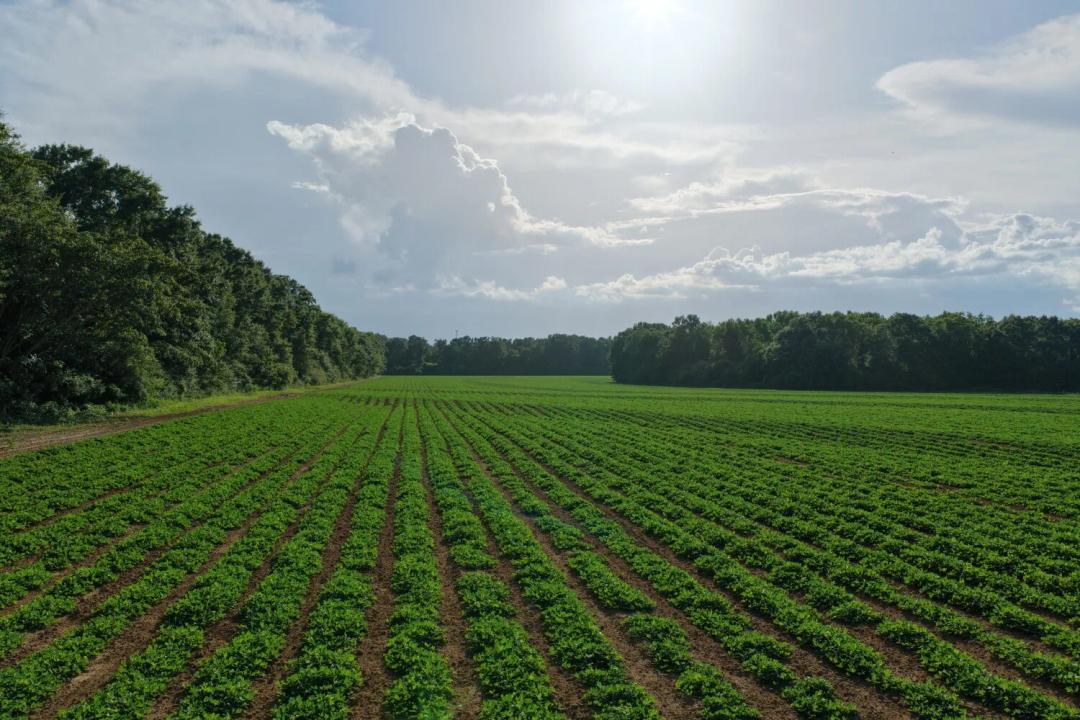 12.00 Acres at 0 CR 49