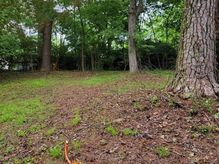 Vacant Land - LaFayette GA
