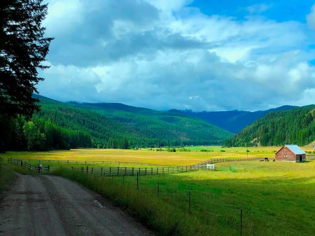 337 Ac Saw Creek Ranch-- Meadows/Creek/ 3 sides National Forest!