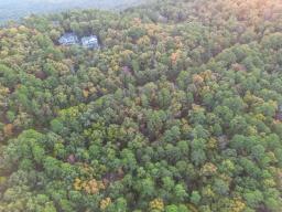 20241006-DJI_0265