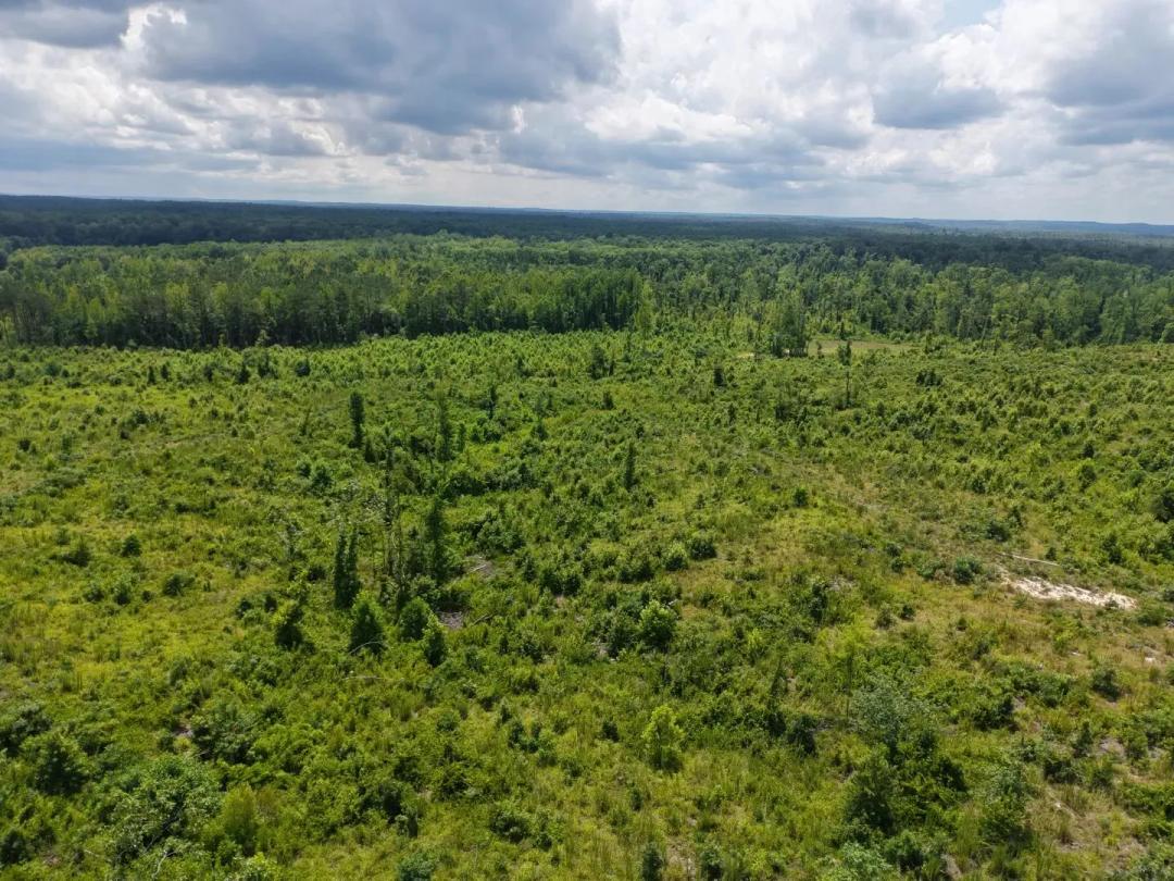 A Cabin on 1,486± Acres in Hardeman/McNairy Counties, TN 
