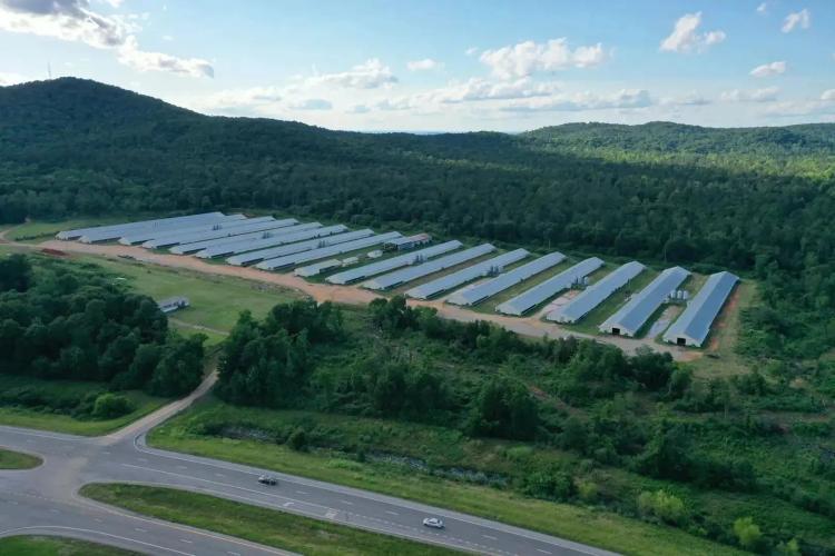 Duc Broiler Farm – 16 House Broiler Farm in Talladega County, Alabama