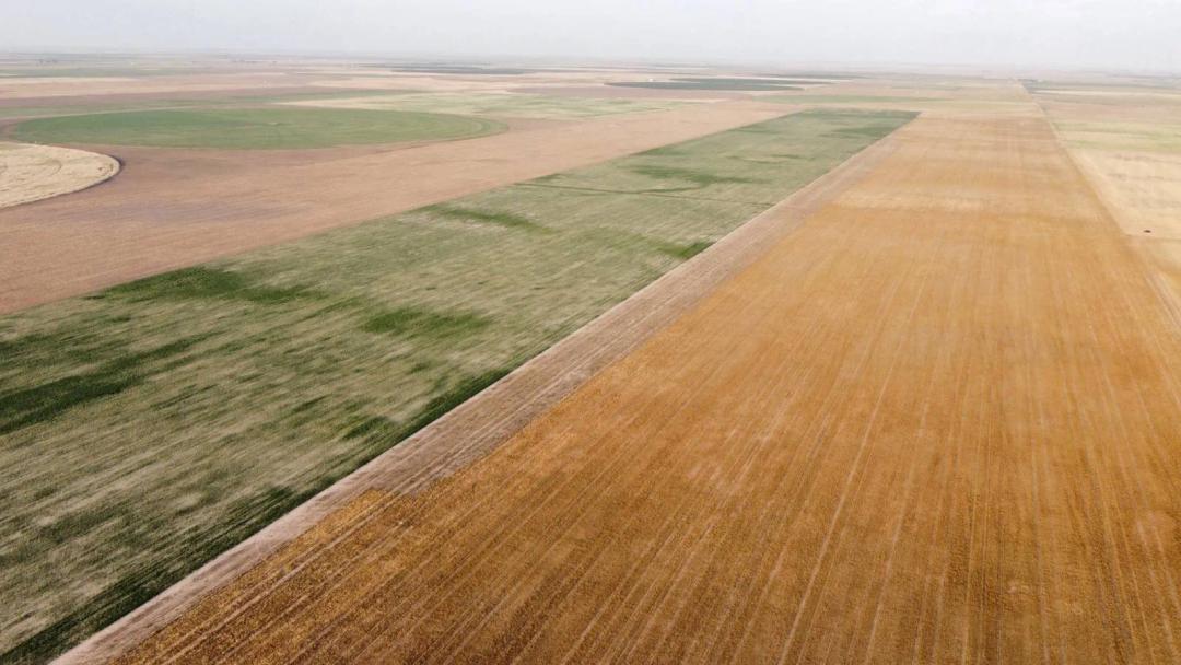 477 +/- Acres Stevens County, Kansas Cropland
