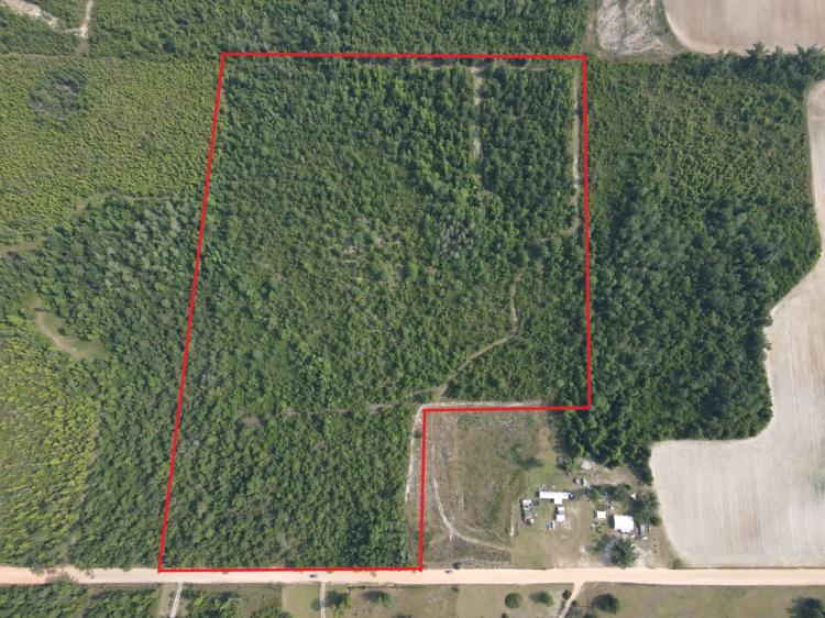 Peaceful 23 acres in the country!