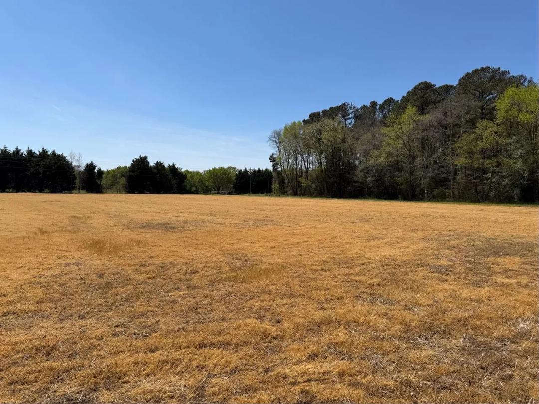 View Of Chesapeake Bay- 15.44 acres