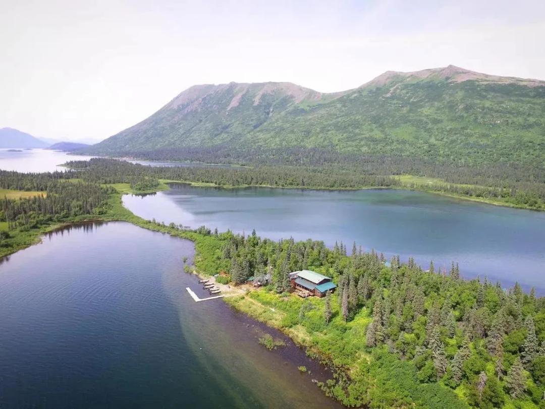 Bearclaw Lodge