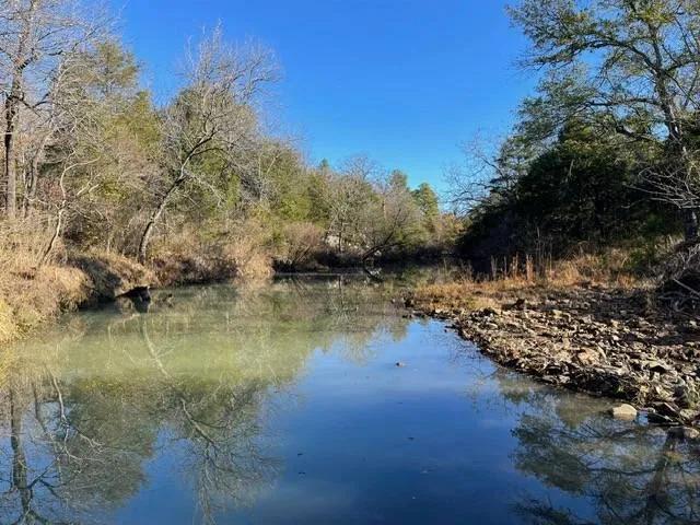 Boggs Hollow Creek Hunting Ranch 113