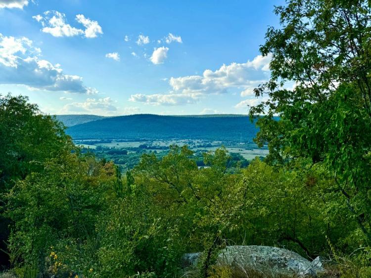 21.25 Acres at 13 Moonshine Drive