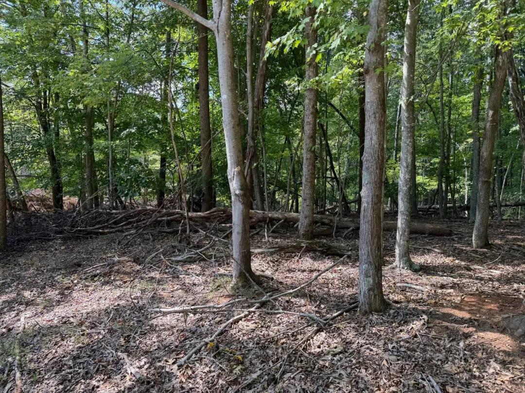 0.42 Acres at  Tbd Chestnut Dr